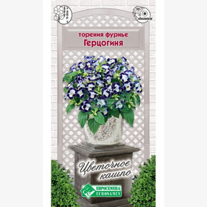 Торения фурнье Герцогиня/ Евросемена