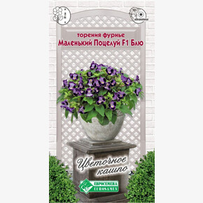 Торения Фурнье Маленький Поцелуй Блю F1/ Евросемена