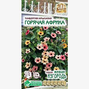 Тунбергия Горячая Африка 3шт/ Евросемена