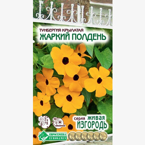Тунбергия Жаркий полдень 10шт/ Евросемена