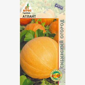 Тыква Атлант 3шт*, Германия, ср/п/ Агрос