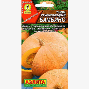 Тыква Бамбино/Аэлита/цп