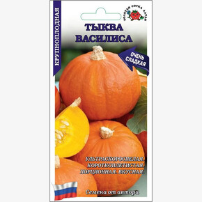 Тыква Василиса/ Сотка