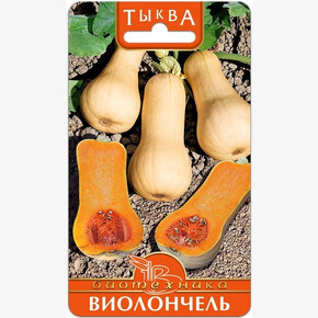 Тыква Виолончель /Биотехника/