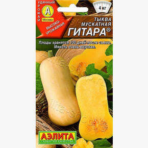 Тыква Гитара/Аэлита/цп