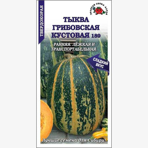 Тыква Грибовская кустовая /Сотка/ 2 г/*600