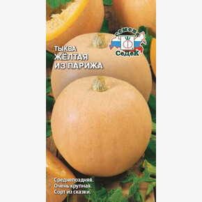 Тыква Желтая из Парижа/Седек/цп