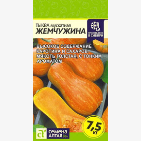 Тыква Жемчужина Мускатная/Семена Алтая/цп 1 гр.