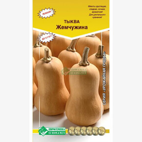 Тыква Жемчужина/ Евросемена
