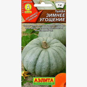 Тыква Зимнее угощение /Аэлита/