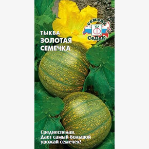 Тыква Золотая семечка /Седек