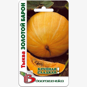 Тыква Золотой Барон / Биотехника