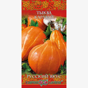 Тыква Каравай/ Гавриш