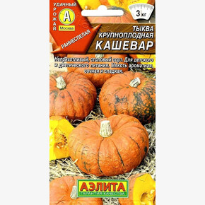 Тыква Кашевар /Аэлита/2гр /2-3кг / ранеспелый
