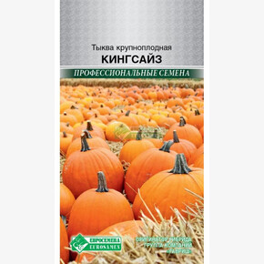 Тыква КИНГ САЙЗ 5 шт/ Евросемена