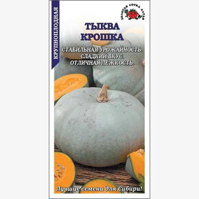 Тыква Крошка /Сотка/ 5шт/ (2,5-3кг)