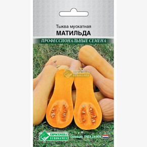 Тыква МАТИЛЬДА (3 шт)/ Евросемена
