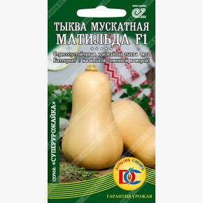 Тыква Матильда/ Деметра