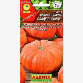 Тыква пирог /Аэлита/