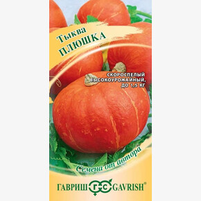 Тыква Плюшка/ Гавриш