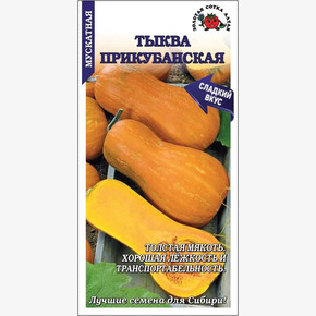 Тыква Прикубанская /Сотка/ 2г /*600