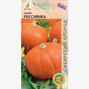 тыква Россиянка