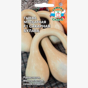 Тыква Сахарная Булава / Седек