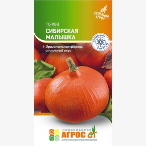 Тыква Сибирская малышка 3шт* Селекция Агрос, Россия, / Агрос