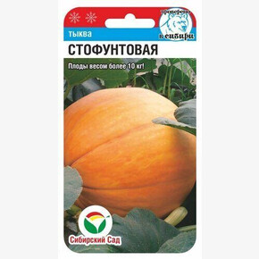 Тыква Стофунтовая 5шт Сиб сад