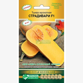 Тыква СТРАДИВАРИ 3 шт/ Евросемена