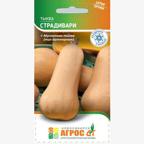 Тыква Страдивари 5шт/ Агрос