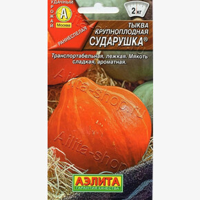 Тыква Сударушка / Аэлита