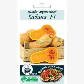 Тыква ХАВАНА (3 шт)/ Евросемена