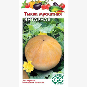 Тыква Янтарная 1г мускатная/ Гавриш