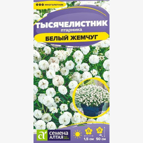 Тысячелистник Белый жемчуг/Сем Алт/цп 0,05 гр. многолетник