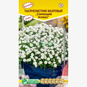 Тысячелистник махровый СИЯЮЩИЙ АЛМАЗ (0,01 гр)/ Евросемена