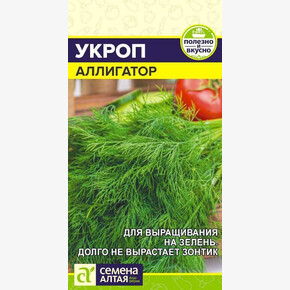 Укроп Аллигатор/ Семена Алтая 2 гр.