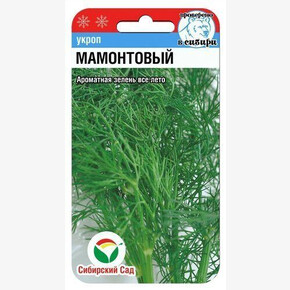 Укроп Мамонтовый 1гр/ Сибсад