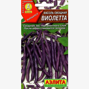 Фасоль Виолетта /Аэлита