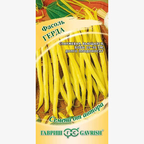 Фасоль Герда /Гавриш/ 10 шт