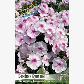 ФЛОКС БАМБИНИ БУЛЛЗАЙ