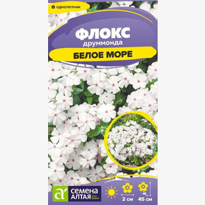 Флокс Белое море друммонда/Сем Алт/цп 0,05 гр.