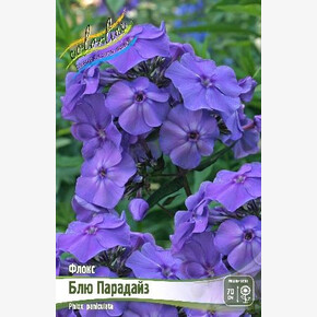 ФЛОКС БЛЮ ПАРАДАЙЗ