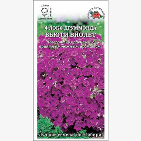 Флокс Бьюти Виолет /Сотка/ 0,1 г/*1500