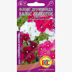 Флокс Вальс Красоток /0,1гр Дем Сиб/