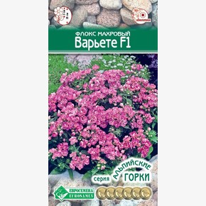 Флокс Варьете 10шт/ Евросемена