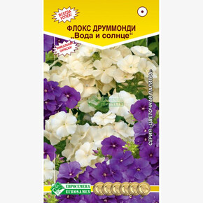 Флокс Вода и солнце/ Евросемена