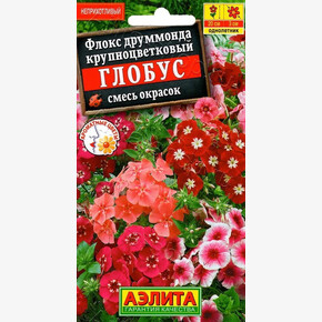 Флокс Глобус /Аэлита