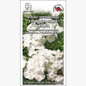 Флокс Грандифлора Альба /Сотка/ 0,2 г/*1200