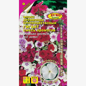 Флокс Друм Гигант смесь/ Аэлита